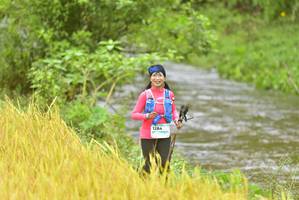 BIB: 1284
                            <button type="button" onclick="openModal(13434747)" class="btn btn-primary btn-sm float-right btn-popup" data-toggle="modal" data-target=".modal-high-quality">
                        <i class="fas fa-shopping-cart"></i> Add to Cart
                    </button>
                                            <button type="button" onclick="isThisMe(13434747, true)" class="btn btn-success btn-sm float-right btn-popup btn-isme hidden" data-toggle="tooltip" data-placement="bottom" title="นี่คือรูปของคุณใช่ไหม คลิกที่นี่เพื่อเอาเข้าอัลบั้ม">
                        <i class="fas fa-plus"></i> Add to album
                    </button>
                    <button type="button" onclick="isThisMe(13434747, false)" class="btn btn-warning btn-sm float-right btn-popup btn-isnotme hidden">
                        <i class="fas fa-ban"></i> Remove from album
                    </button>